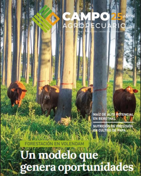 Forestación en Volendam un modelo que genera oportunidades